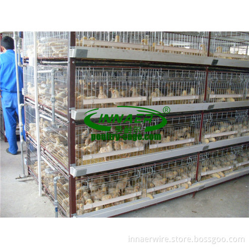 Baby Chicken Cage